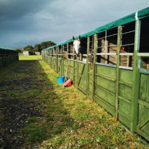 Day Stable - Event Style Stables